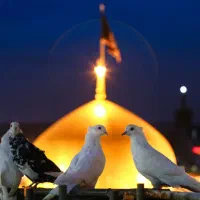 سفری بی دغدغه با بهترین خدماتـ&