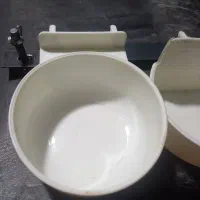 لانه فنچ قناری بنگالی