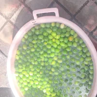 لیمو درجه ۱