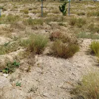 فروش-زمین-باغ
