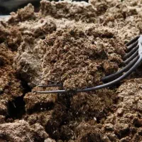 کود گوسفند سال مانده