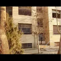 فروش-کلنگی-جردن