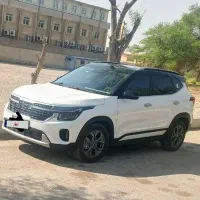 کیا سلتوس