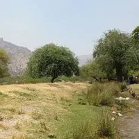 فروش-زمین-جاده-دهبید