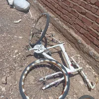 دوچرخه|دوچرخه، اسکیت، اسکوتر|چترود, |دیوار
