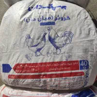 دان مرغی