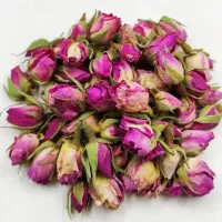 گل محمدی