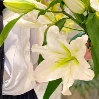 گل فروشی آنلاین شکوه گل