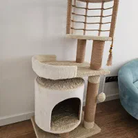 اسکرچر گربه کاملاً نو