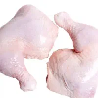 غذای سگ