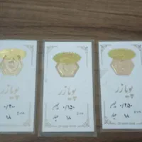 سکه پارسیان دو گرم