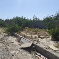 2700متر-دهشاد-دور-دیوار-8ساله-درختان-10ساله