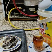 تعمیرات تخصصی انواع یخچال وفریزر فروشگاهی وخانگی
