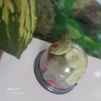 ژله مارشملو ایی