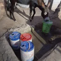 خرگله وبار