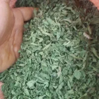 نعنا برگ خشک