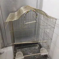 تخم کبوتر و قفس