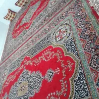 فرش|فرش|برازجان, |دیوار