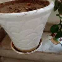 گلدان سفالی