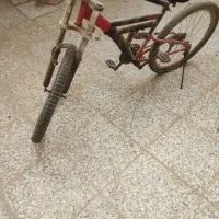 دوچرخه و لانه عروس هلندی