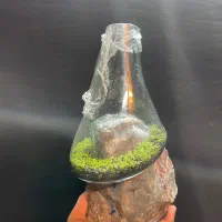 گلدان فرانسوی