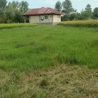فروش زمین مسکونی در کنسستان امام رضا یک