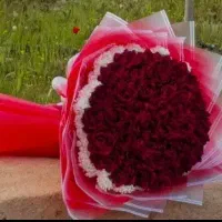 رومانی|گل مصنوعی|قم, باغ شریفی|دیوار