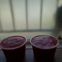 رب گوجه فرنگی خانگی