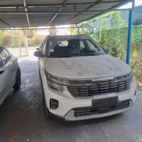 کیا سلتوس