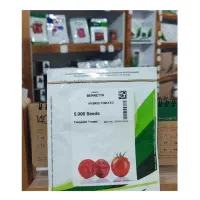 فروش بهترین ارقام گوجه فرنگی سمینیس به قیمت تعاونی