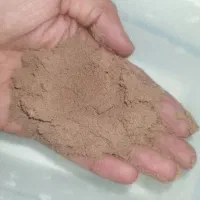 سیست ارتمیا