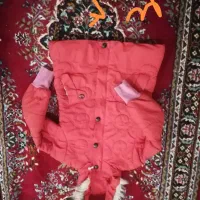 لباس|کفش و لباس بچه|قم, ولیعصر|دیوار