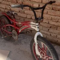 دوچرخه رینک اسپرت