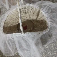 سبد حصیری