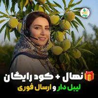 جشنواره نهال بادام مامایی دیرگل پربار