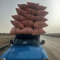 کاه گندم دیم فروشی