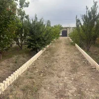 ۵۶۰ متر خیابان یاس خدایار خان