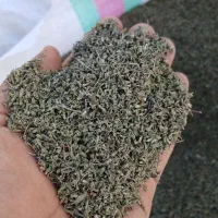 آویشن باغی سورت شده و تازه