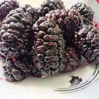 شاه توت درجه یک