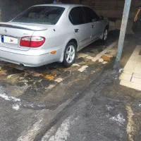 ماکسیما ۸۲ وارداتی بدون رنگ