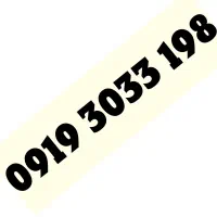 0919.3033.198