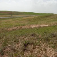 زمین کشاورزی