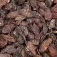 فروش کشمش افتابی