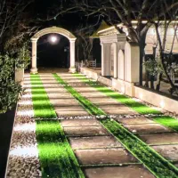 سرمهماندار حرفه ای