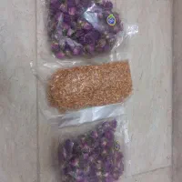 غنچه گل محمدی و بهار نارنج