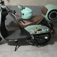 کویر ms1 سبز
