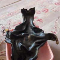 جا روغن هیزه