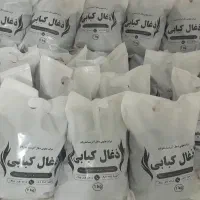 زغال بسته بندی پسته با کیفیت بالا