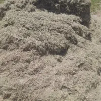 فروش ۵تن یونجه کوبیده