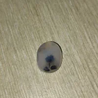 سنگ شجر تک گل